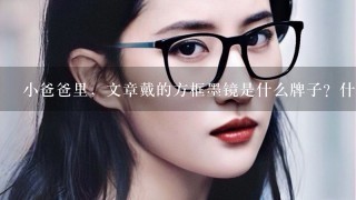 小爸爸里，文章戴的方框墨镜是什么牌子？什么型号？