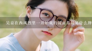 吴京在西风烈里1开始戴的镜面墨镜是什么牌子的？什么型号的！？